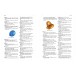 First Learner’s Dictionary (2500 words, age 6+)